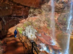 Taylor Family behind Waterfalls at Lower Emerald Pools Zion National Park Utah 1