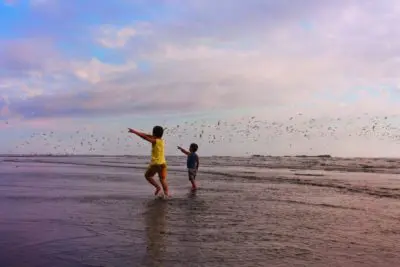 Taylor Family birdwatching at Leadbetter State Park Long Beach Peninsula 2