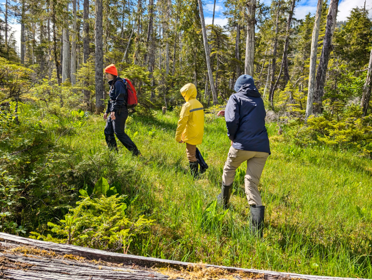 Taylor Family bushwhacking hike with UnCruise Wilderness Explorer in Crab Bay Alaska 3