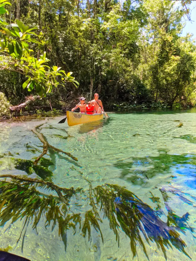 Taylor-Family-canoeing-at-Rock-Springs-Run-Wekiwa-River-Apopka-Florida-2020-14