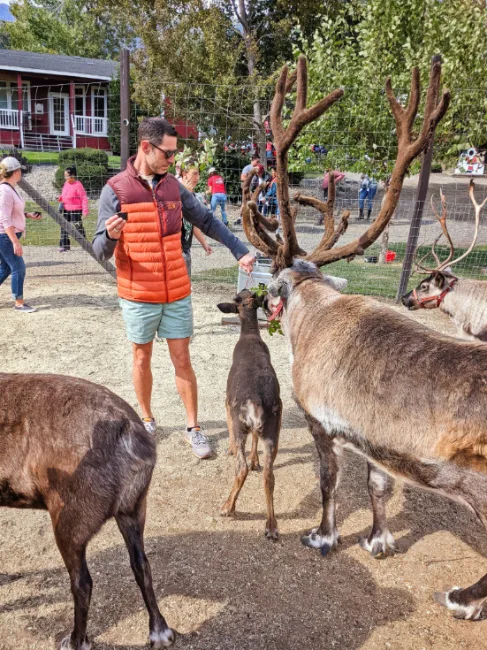 Taylor Family feeding reindeer at Reindeer Farm Leavenworth Washington 3