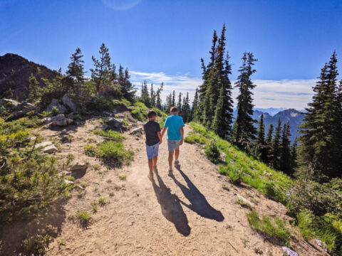 Best Hiking at Mount Rainier National Park: Beautiful, Kid Friendly ...