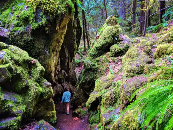 Taylor Family hiking at Fall Creek Falls Umpqua National Forest Oregon 10