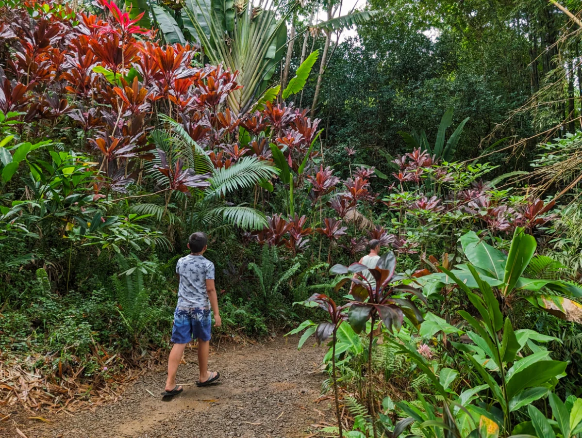 Taylor Family hiking at Garden of Eden Arboretum Road to Hana Maui Hawaii 1