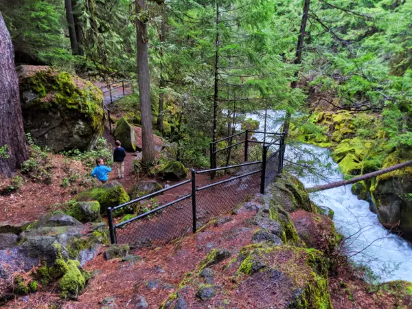 Taylor Family hiking at Tokatee Falls Umpqua National Forest Oregon 13