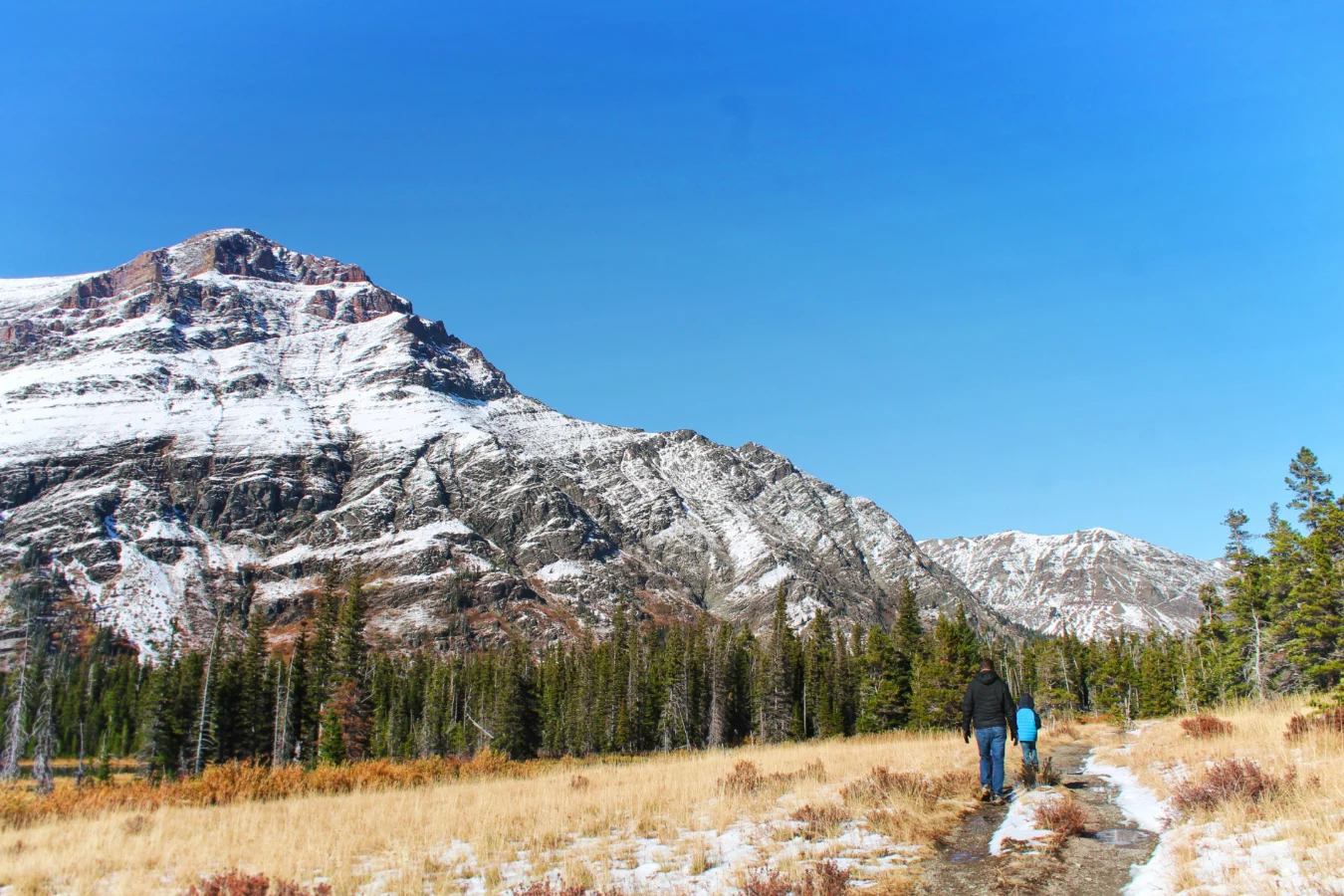 Taylor Family hiking at Two Medicine Lake Glacier National Park 8