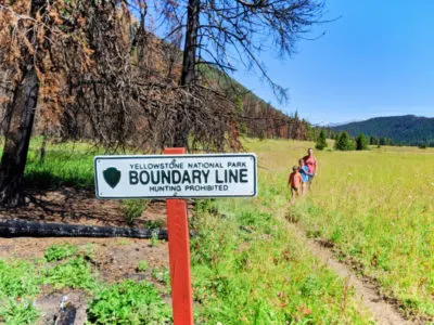 Taylor Family hiking the Bacon Rind Creek Trail Yellowstone National Park 3