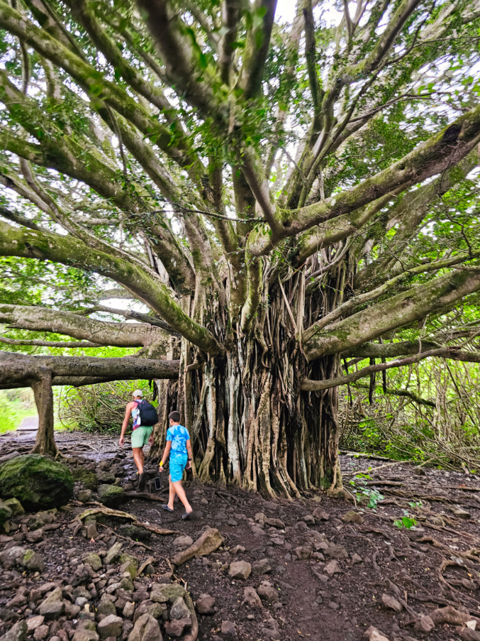 Taylor Family hiking the Pipiwai Trail at Kipahulu Haleakala National Park Maui Hawaii 1