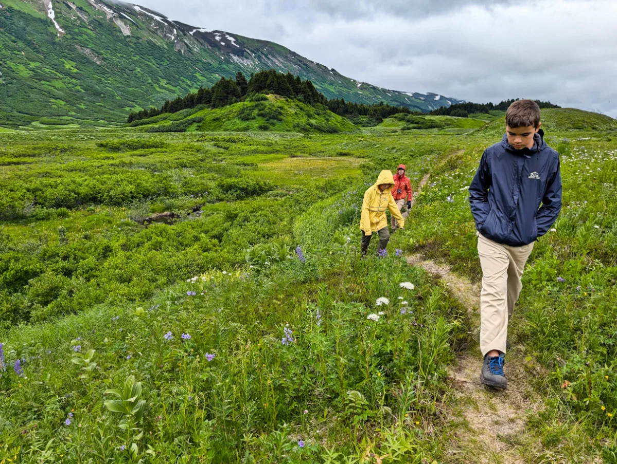 Taylor Family hiking through Wildflowers at Turnagain Pass Kenai Peninsula Alaska 1