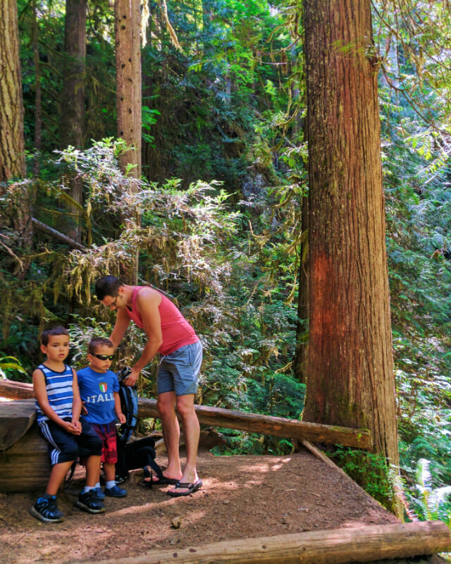 Taylor Family hiking to Murhut Falls Olympic National Forest 3