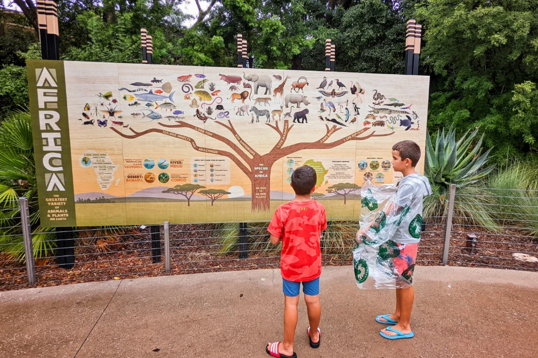 Taylor Family in Africa Rocks at San Diego Zoo Balboa Park 1