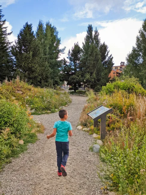 Taylor Family in Alpine Garden in Historic Breckenridge Colorado 1