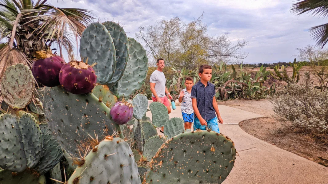 Taylor Family in Cactus Garden at Balboa Park San Diego 1
