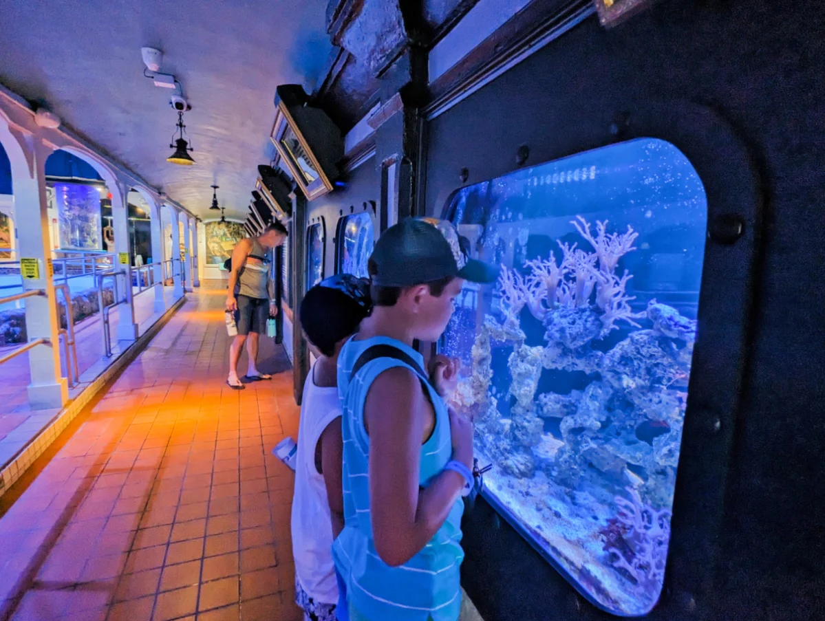 Taylor Family in Key West Aquarium Florida Keys 1