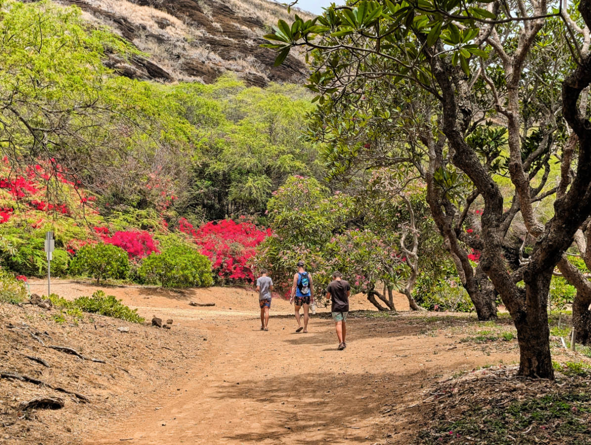 Taylor Family in Koko Crater Botanical Garden Honolulu Oahu Hawaii 2