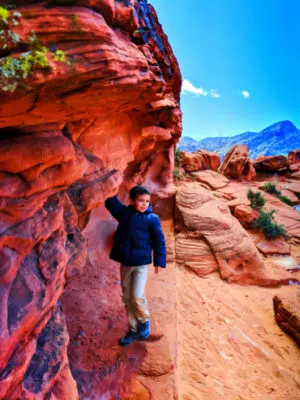 Taylor Family on Beehives Sandstone at Valley of Fire State Park Las Vegas Nevada 8