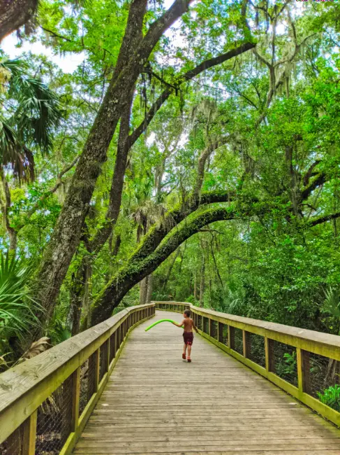 Taylor Family on Boardwalk at Blue Spring State Park Orange City Florida 2020 3