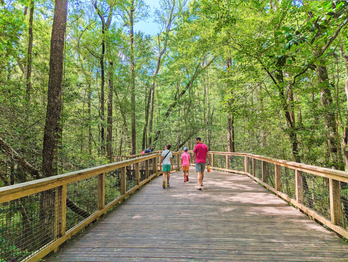 Taylor Family on Boardwalk in Congaree National Park South Carolina 4