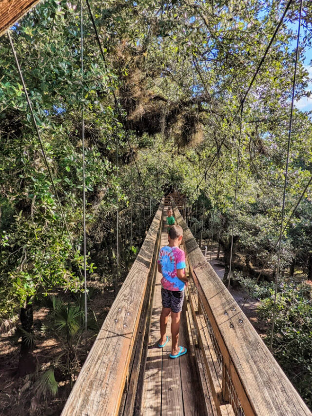 Taylor Family on Canopy Walk at Myakka River State Park Sarasota Florida 1