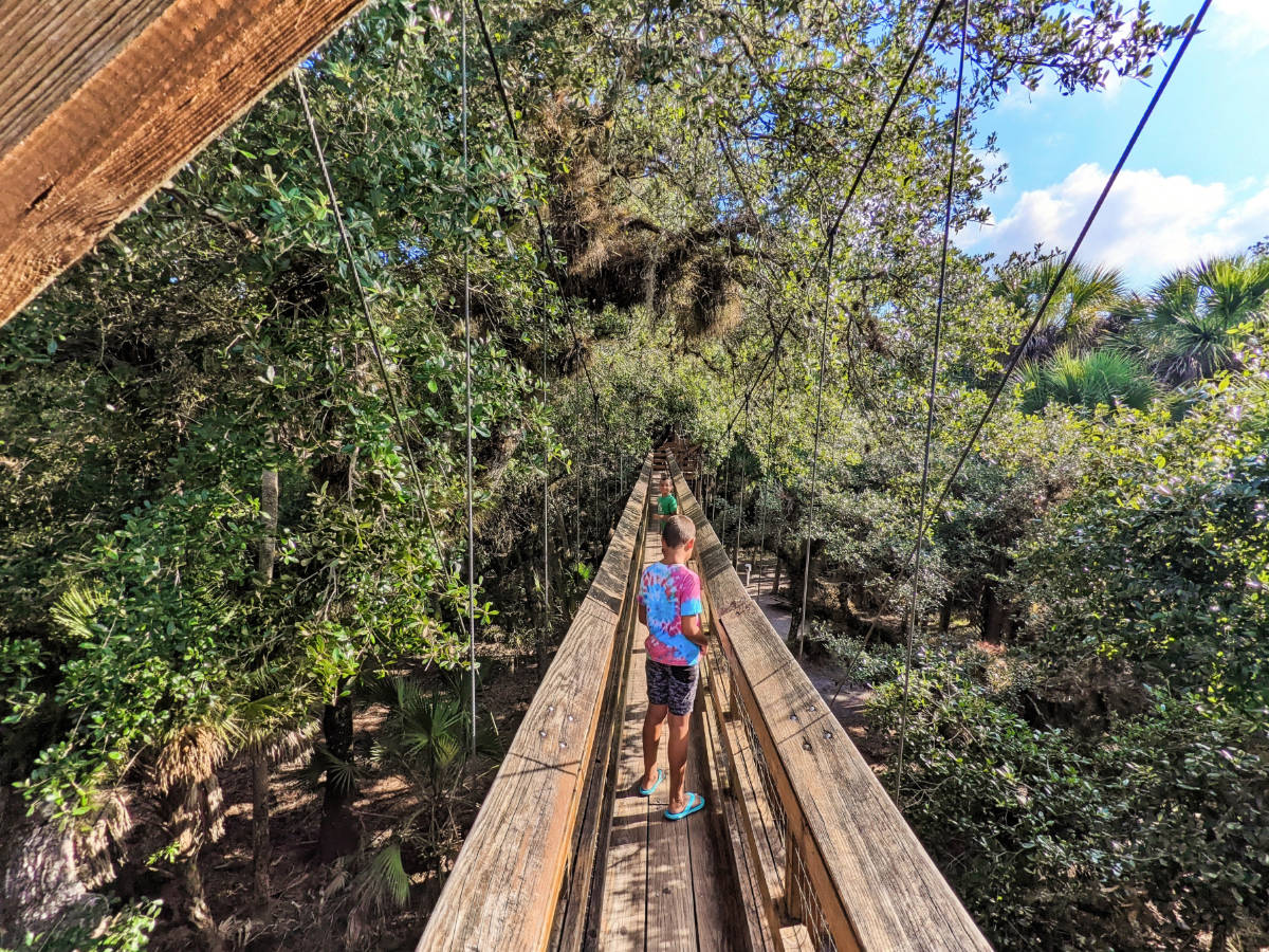 Taylor Family on Canopy Walk at Myakka River State Park Sarasota Florida 1