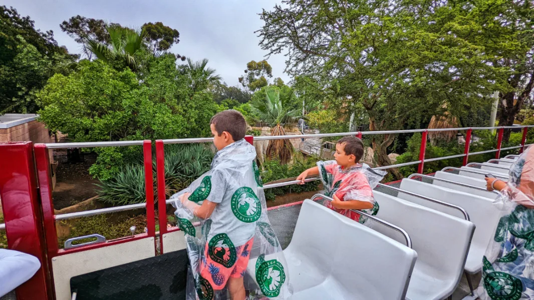 Taylor Family on Tram Tour in the rain San Diego Zoo Balboa Park 4