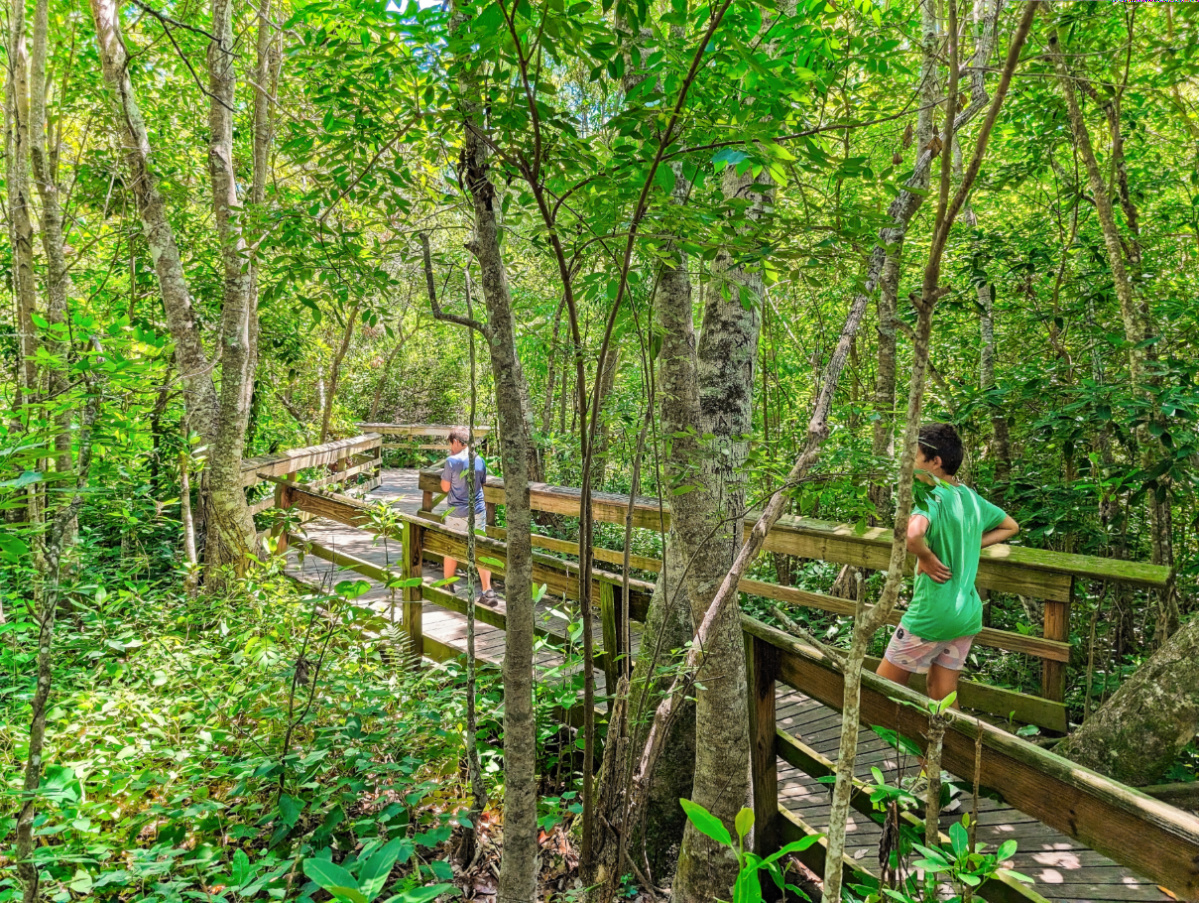 Taylor Family on boardwalk at Mead Botanical Gardens Orlando Florida 1
