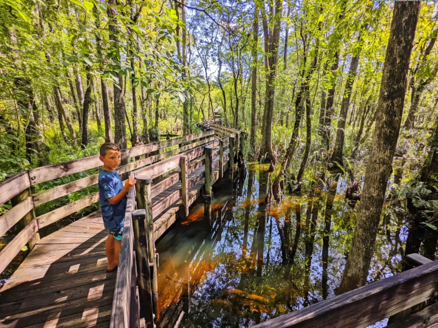 Taylor Family on boardwalk at Six Mile Cypress Slough Preserve Fort Myers Florida 3