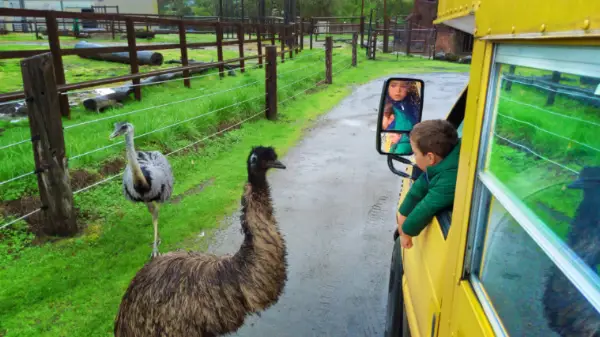 Taylor Family on tour bus at Wildlife Safari Winston Oregon 8