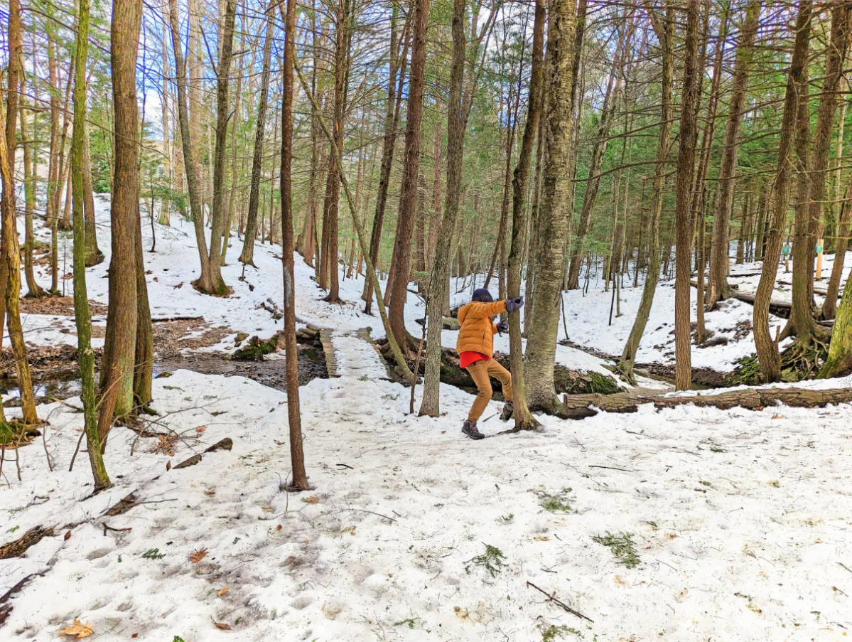 Taylor Family playing in snowy forest in Presumpscot River Preserve Portland Maine 1