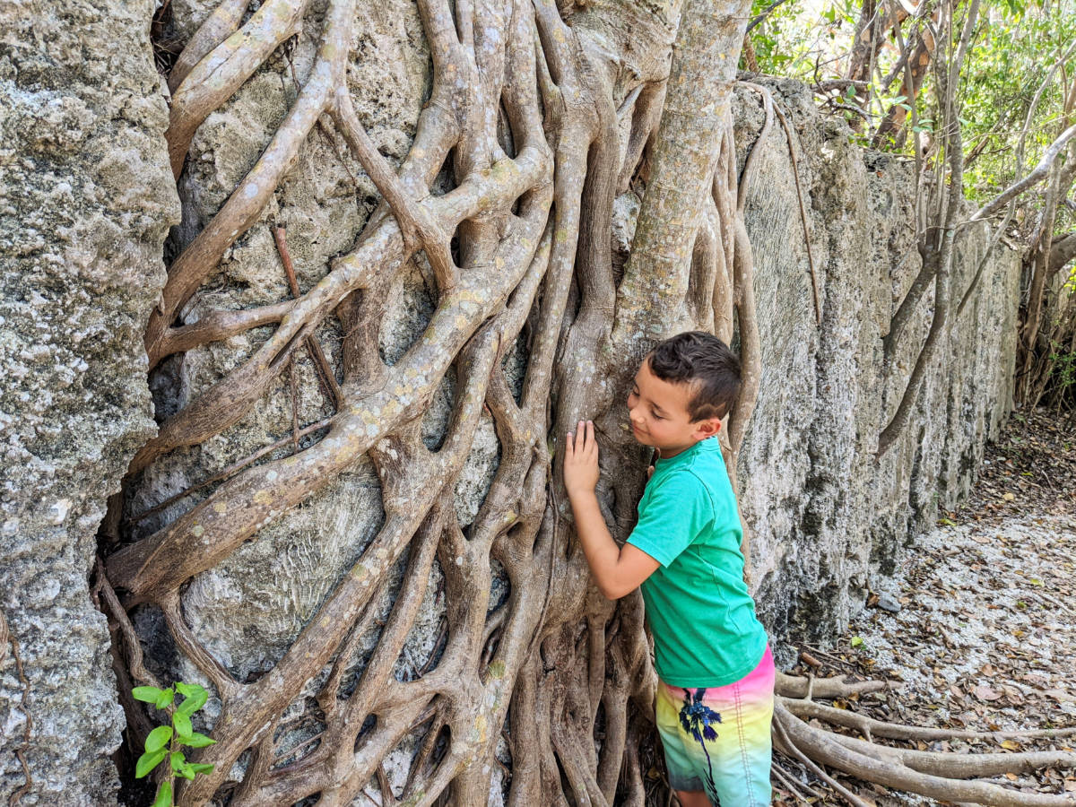 Taylor Family with Banyan Tree at Windley Key Fossil Reef State Park Islamorada Florida Keys 1