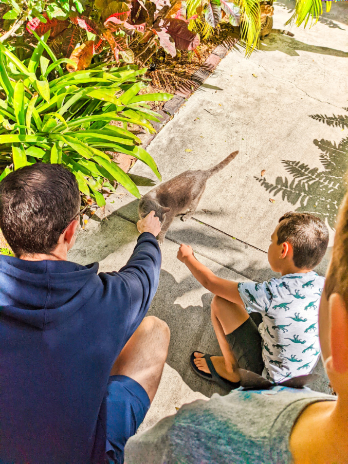 Taylor Family with Cats at Hemingway House Key West Florida Keys 1