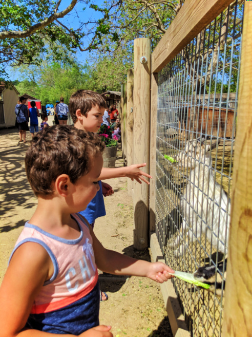 Taylor Family with Goats at Avila Valley Barn Central Coast California 3