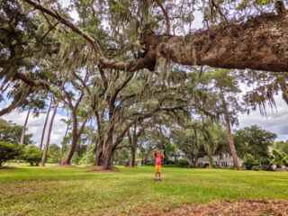 Taylor-Family-with-Live-Oaks-and-Moss-at-Kings-Park-on-St-Simons-Island-Golden-Isles-Georgia-1-320x240.jpg