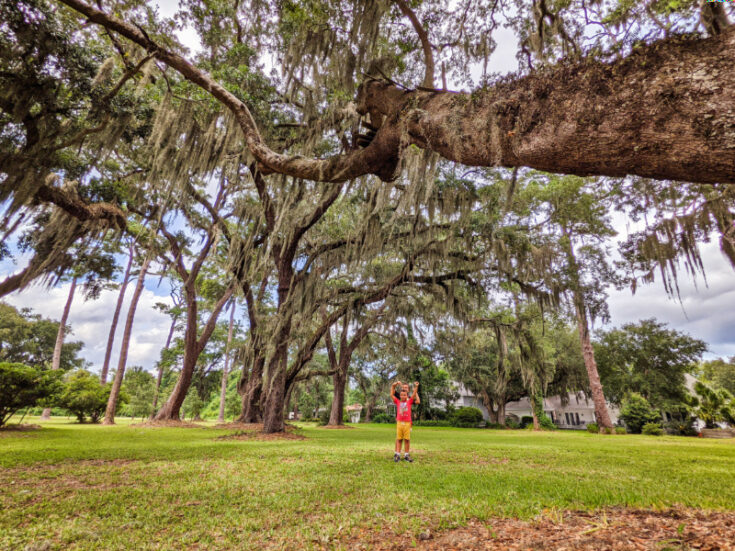 St Simons Island Fun And Luxury On A Budget