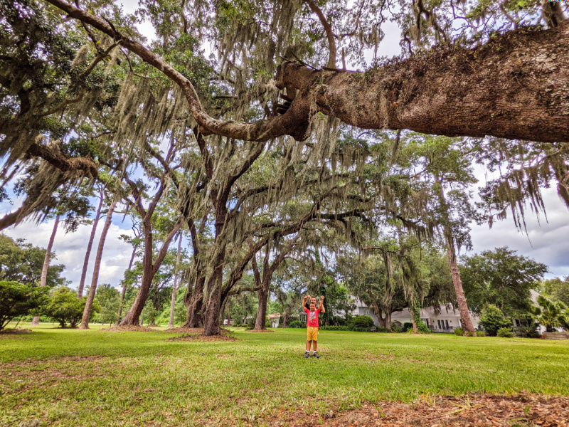 Taylor Family with Live Oaks and Moss at Kings Park on St Simons Island Golden Isles Georgia 1