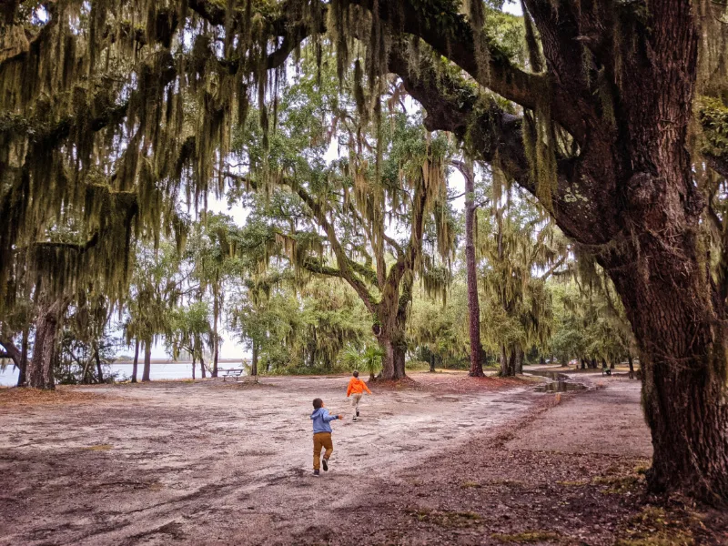 Taylor Family with Live Oaks and Moss at Park on St Simons Island Golden Isles Georgia 1