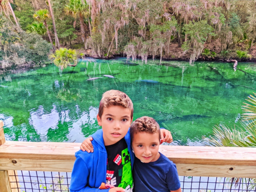 Taylor Family with Manatees at Blue Spring State Park Florida 2020 1