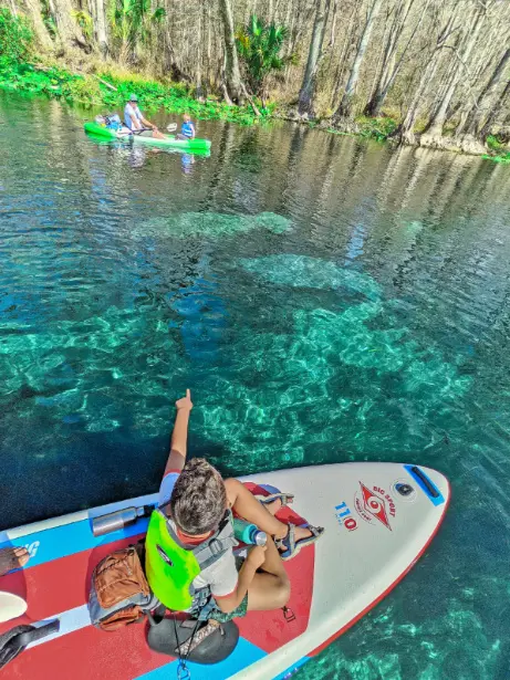 Taylor Family with Manatees at Silver Springs State Park Ocala National Forest Florida 2021 1