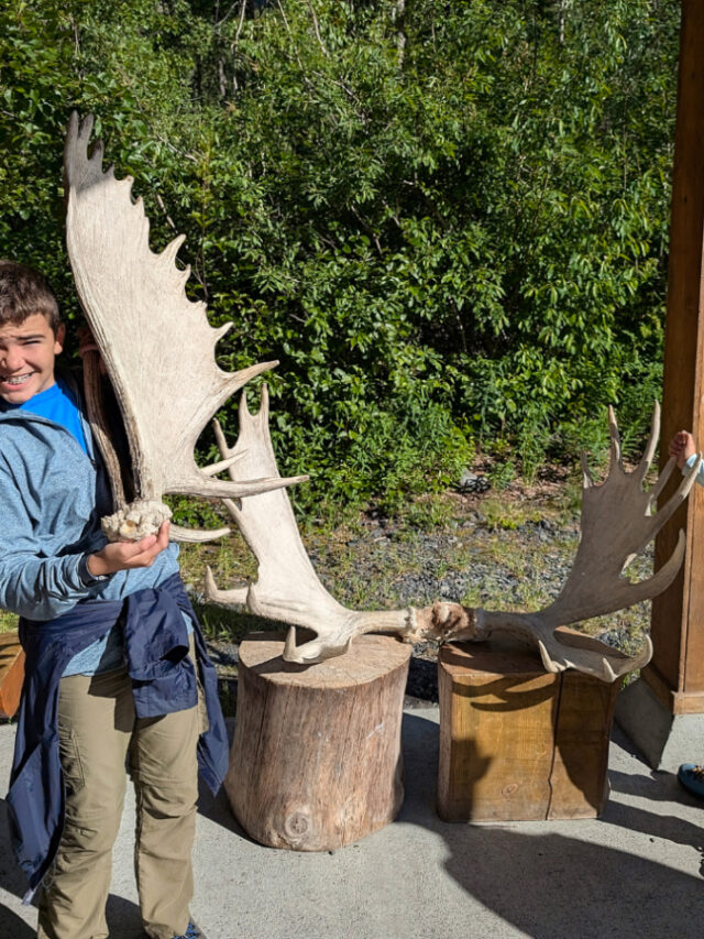 Taylor Family with Moose Antlers