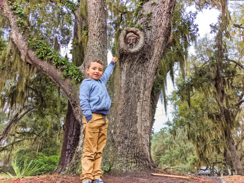 Taylor Family with Old Man Spirit Tree St Simons Island Golden Isles Georgia 1