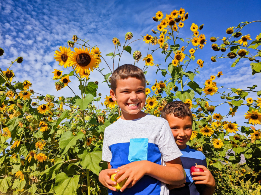 Taylor Family with Sunflowers at Chelan Valley Farms Manson Lake Chelan Washington 2