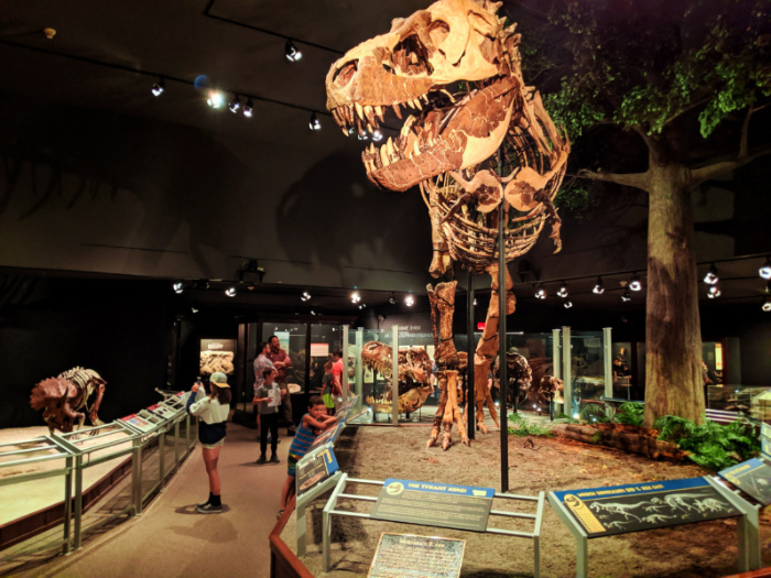 Taylor Family with TRex fossils at Museum of the Rockies in Bozeman Montana 1