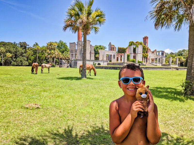 Taylor Family with Wild Horses at Dungeness Ruins at Cumberland Island National Seashore Coastal Georgia 7