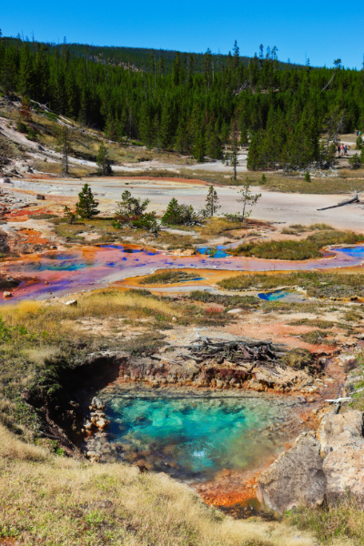 Thermal river at Artist Paint Pots Yellowstone National Park 3