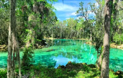 Three Sisters Springs Crystal River Florida 1