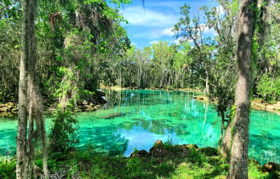 Three Sisters Springs Crystal River Florida 1