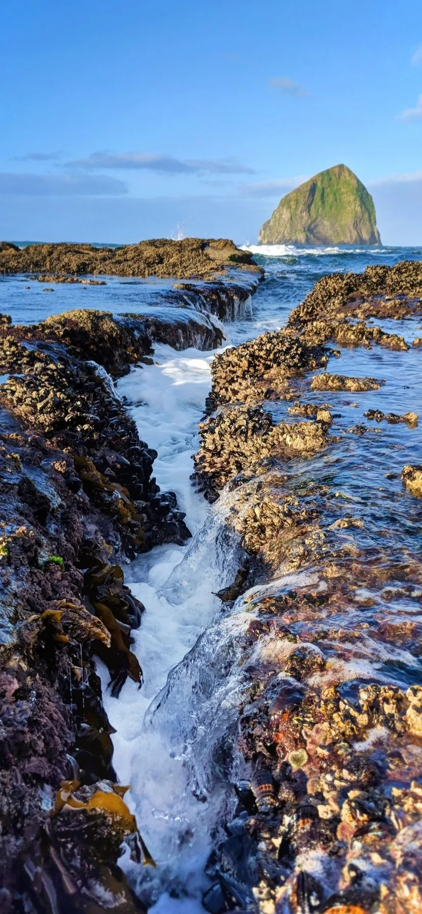 Tidepool Waterfall in Pacific City Oregon Coast Road Trip