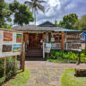 Tiki Carvings at Havaiki Oceanic Art Hanalei North Shore Kauai Hawaii 2