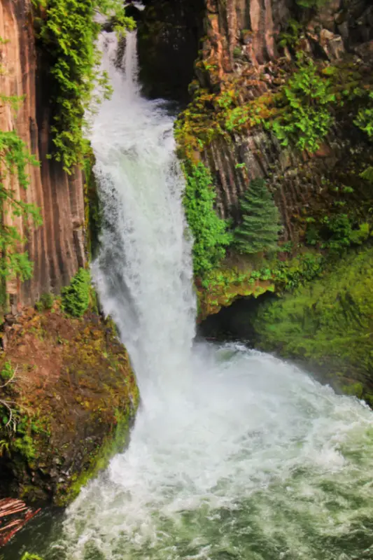 Tokatee Falls Umpqua National Forest Oregon 1