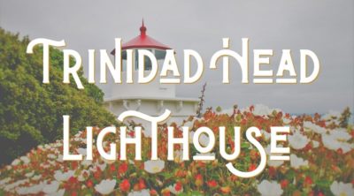 Trinidad Head Lighthouse Landing